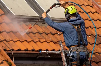 Démoussage et hydrofuge de toiture à Rochegiron